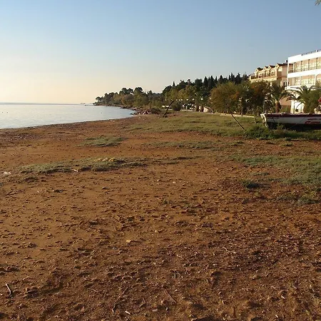 Hotel Aura Boutique 3*