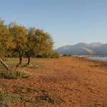 فندق Aura Boutique ليكسوري